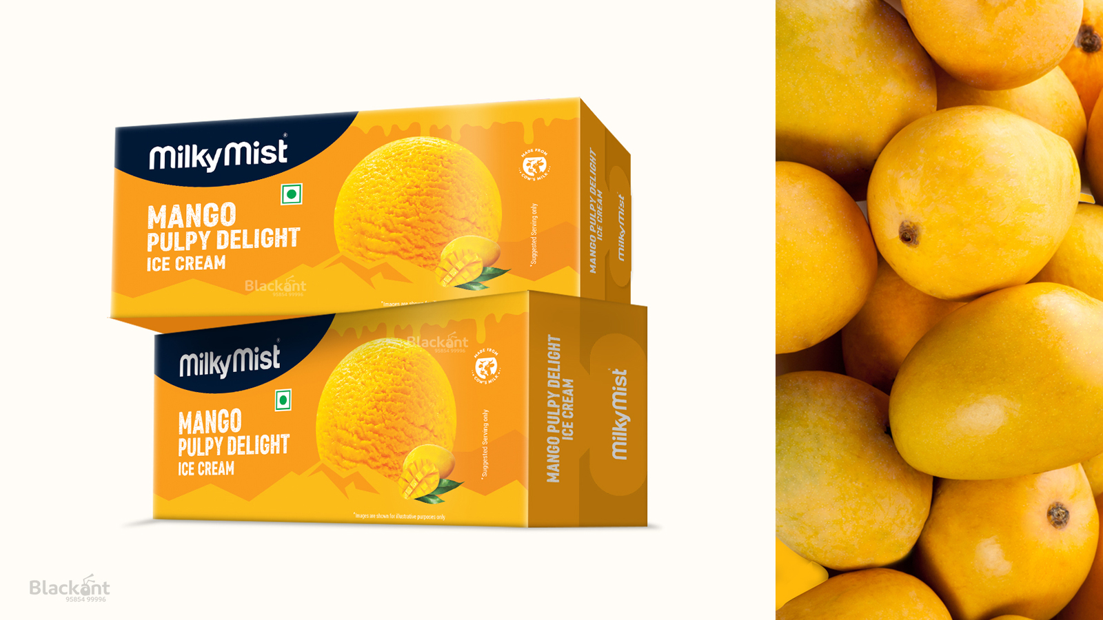 Mono Carton Ice Cream